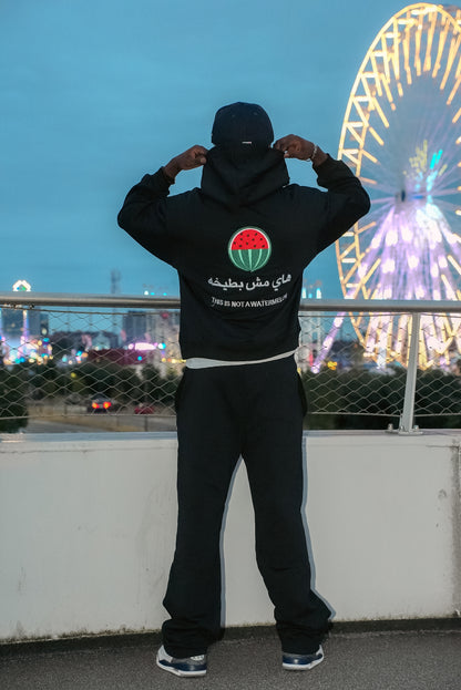 This Ain’t a Watermelon ™ Outfit Set